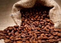 How Many Different Types of Coffee Beans are There?