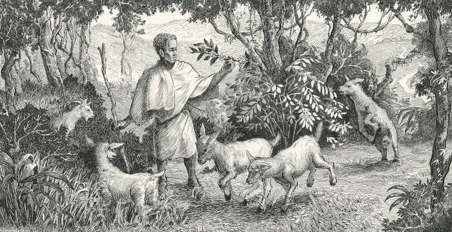 ethiopian ancient goat herder